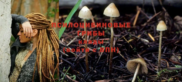 метадон Алзамай
