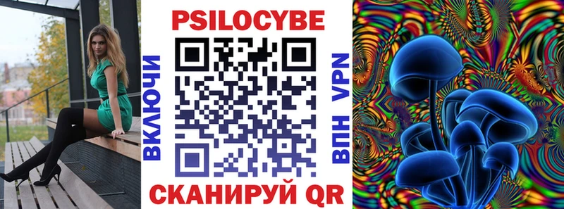 Псилоцибиновые грибы Cubensis  как найти   Дзержинск 